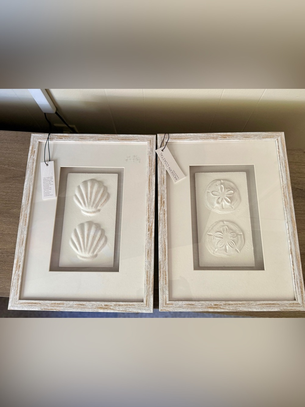 Coastal Relief Shell & Sand Dollar Framed Wall Art - White (Set of 2)